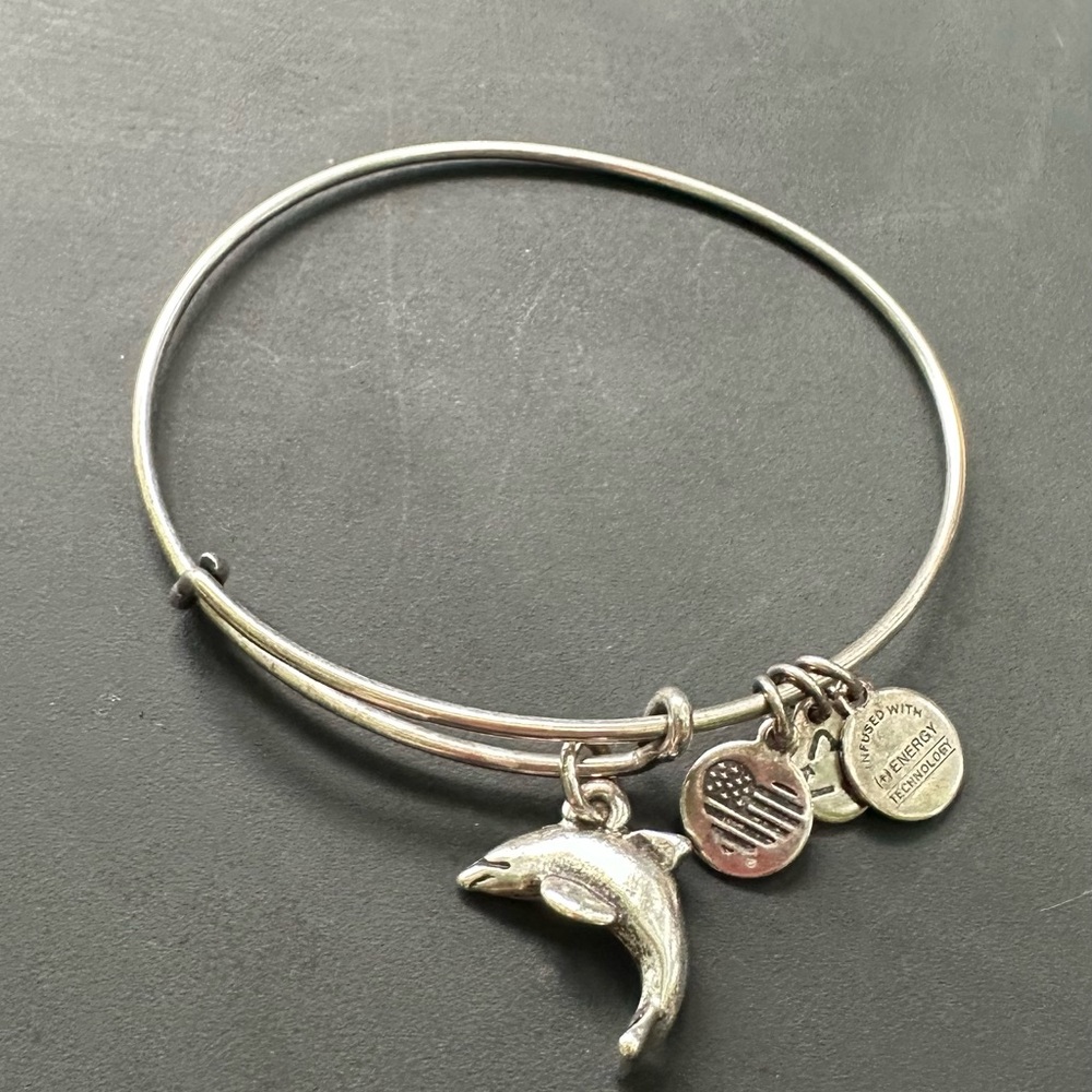 Alex and Ani Silver Dolphin Charm Bracelet